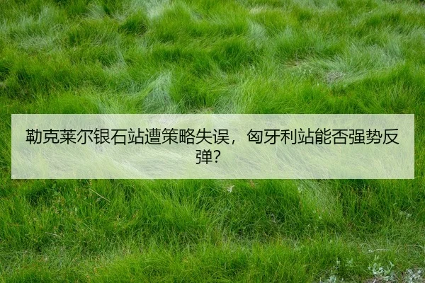 lei-ke-lai-er-yin-shi-zhan-zao-ce-lve-shi-wu-xiong-ya-li-zhan-neng-fou-qiang-shi-fan-tan-2-668.jpg