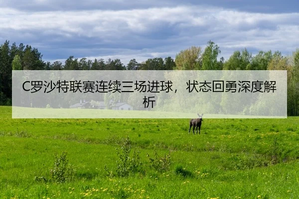 luo-sha-te-lian-sai-lian-xu-san-chang-jin-qiu-zhuang-tai-hui-yong-shen-du-jie-xi-2-791.jpg